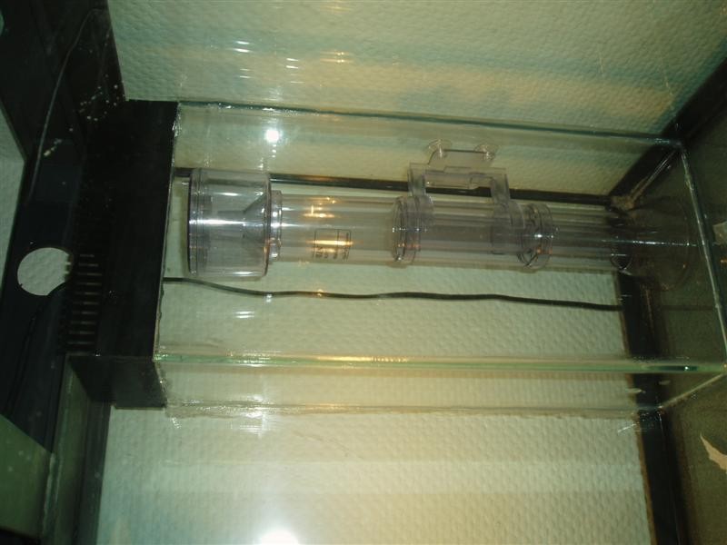 P1010117 (Medium).JPG