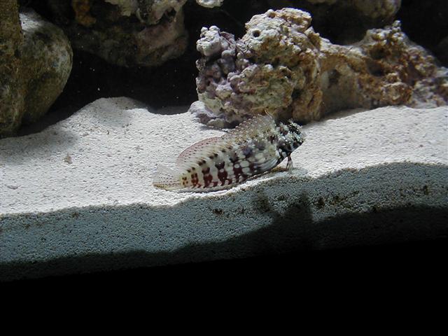 P1010048 (Small).JPG