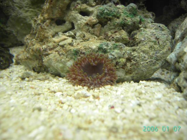 PICT0400 (Small).JPG