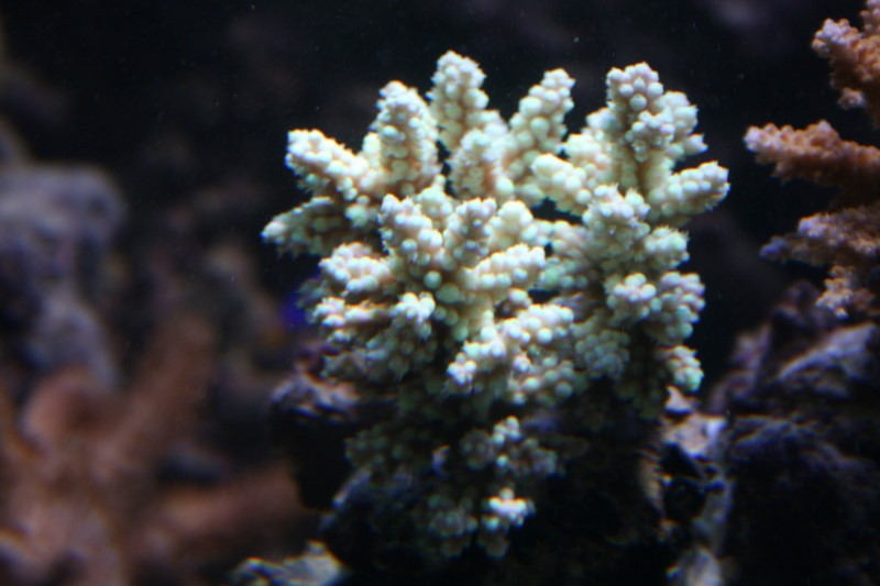 IMG_1648.jpg