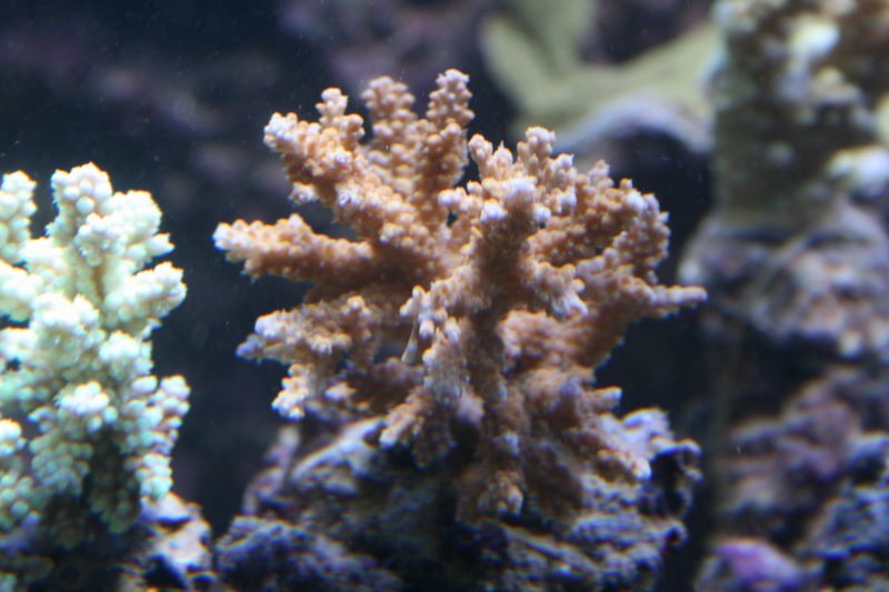 IMG_1649.jpg