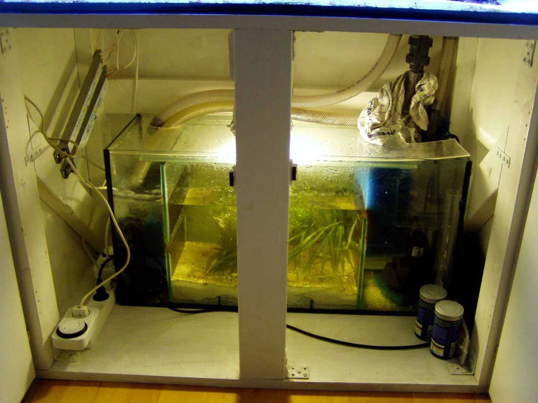 refugium.jpg