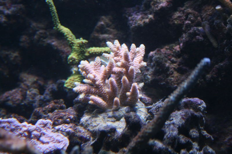 IMG_1663.jpg