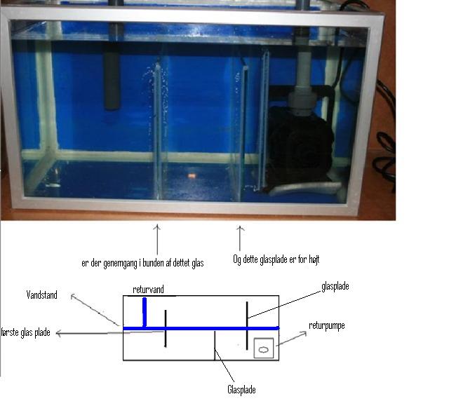 sump111 (Small) (Small).JPG
