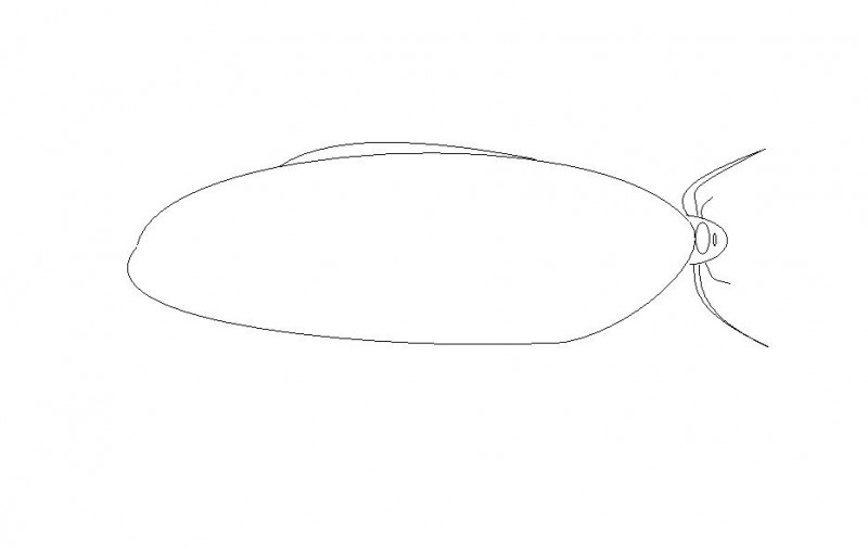 sådan der den ud når den sidder på glasset