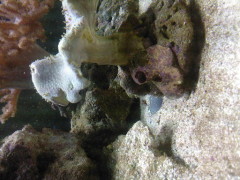 SP_A0280.jpg