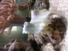 SP_A0290.jpg
