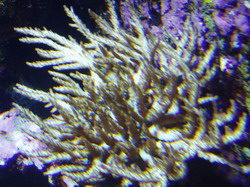 P1010009_resize.JPG