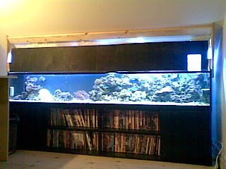 04112008(001).jpg