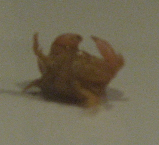 IMG_6383.JPG