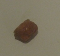 IMG_6385.JPG