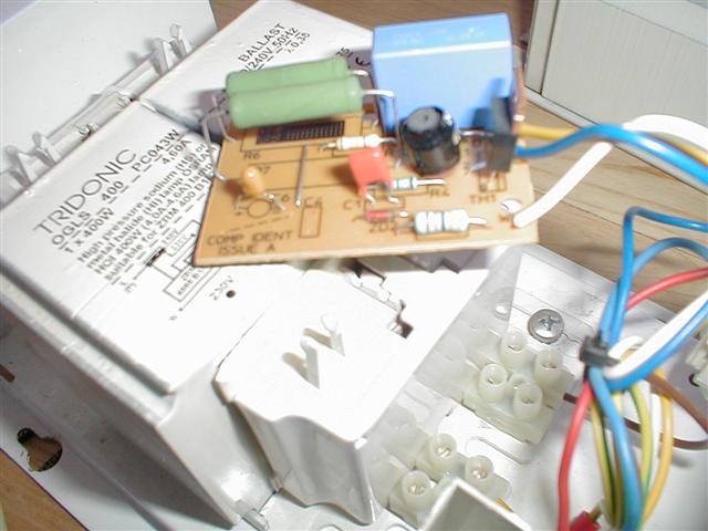 P1010020 (Small).JPG