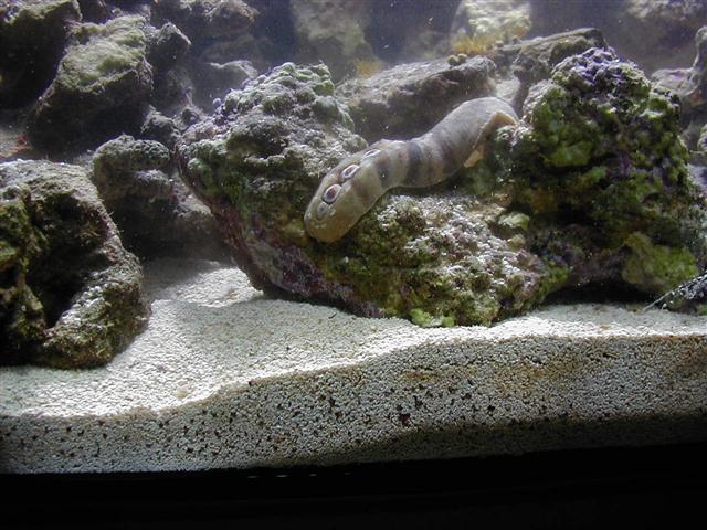 P1010062 (Small).JPG