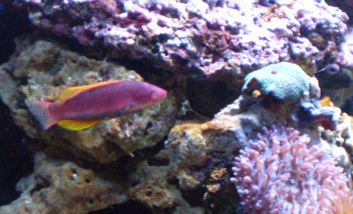 089 [DVD (NTSC)].JPG