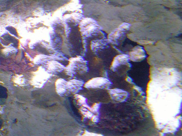SNC11658 (Small).JPG