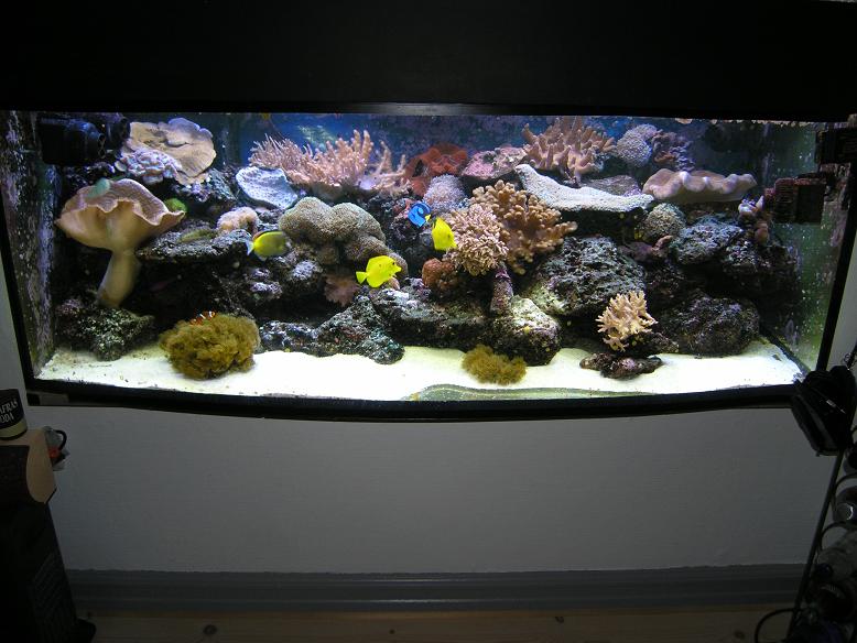 akvarie.jpg