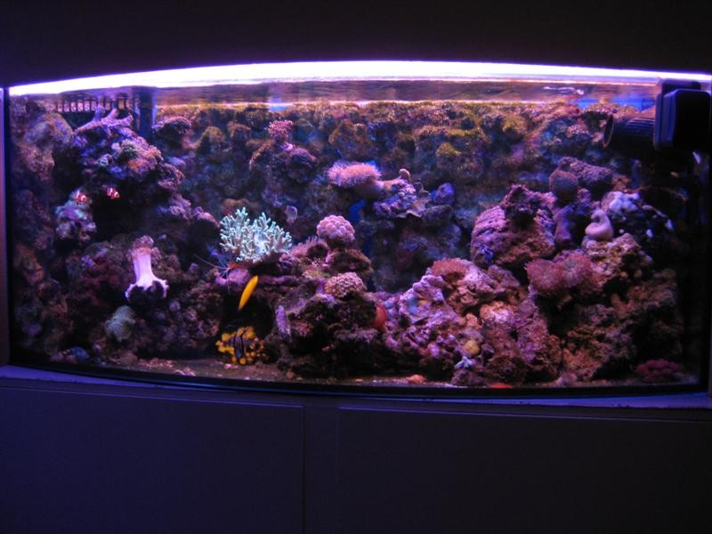 23 April 08