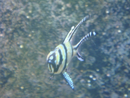 DSC01785.JPG