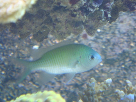 DSC01784.JPG