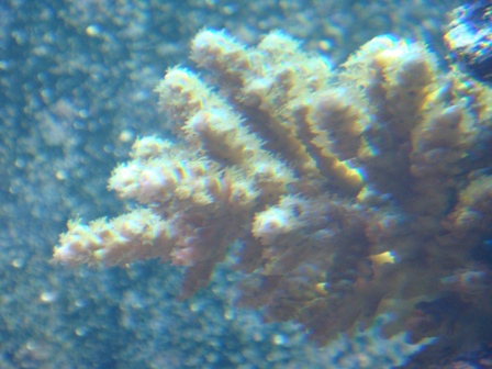 DSC01800.JPG