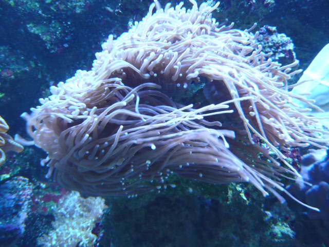 P1010206.JPG