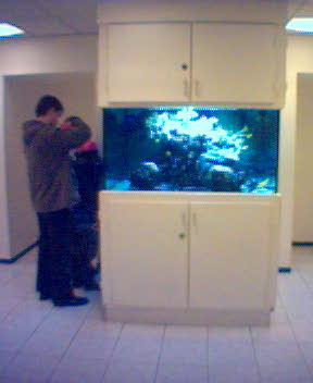 Billede(19).jpg