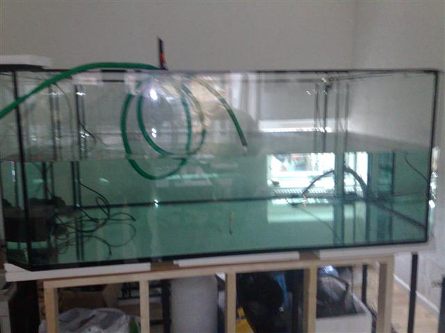 091220081324.jpg