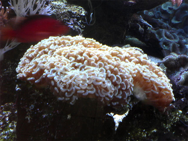 DSC01408.jpg