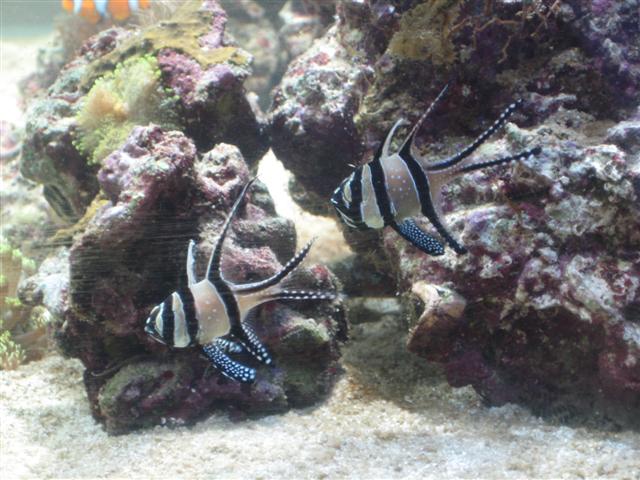 IMG_2175 (Small).jpg