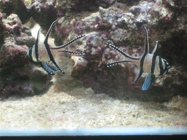 IMG_2173 (Small).jpg