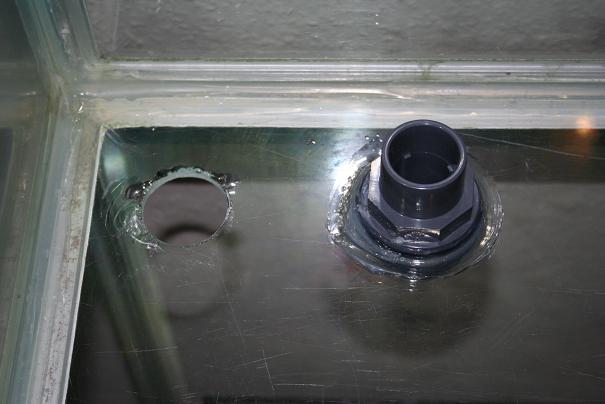 Billede 0252.JPG