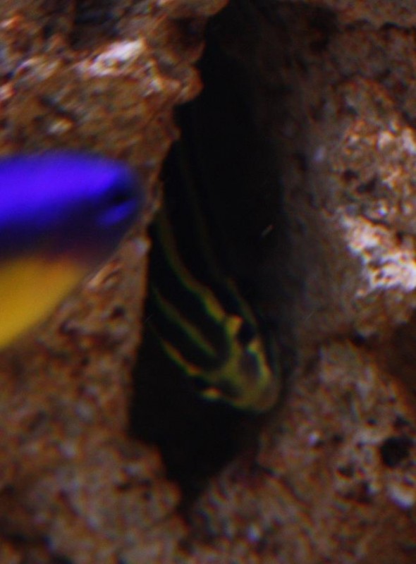 Billede 086.jpg