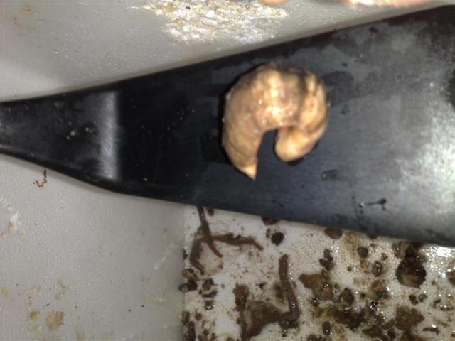 131220081476 (Medium).jpg