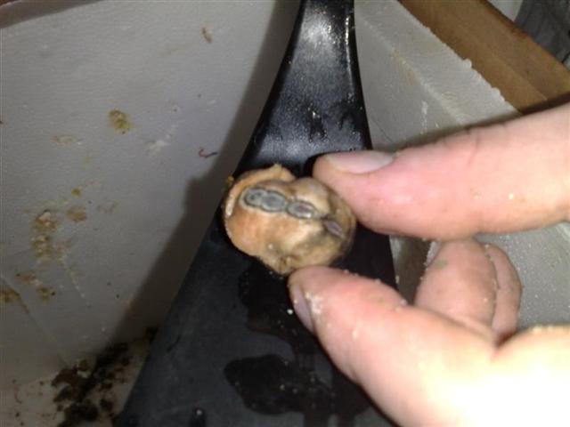 131220081478 (Medium).jpg