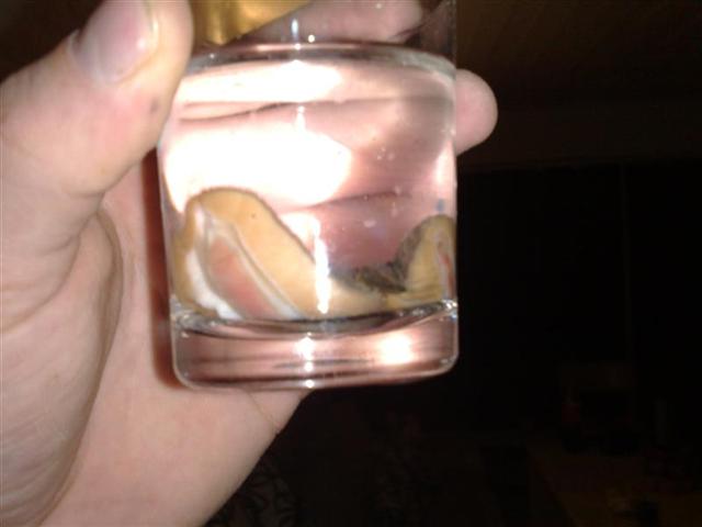 131220081500 (Medium).jpg