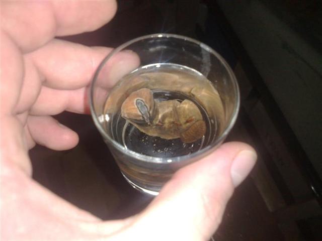 131220081507 (Medium).jpg