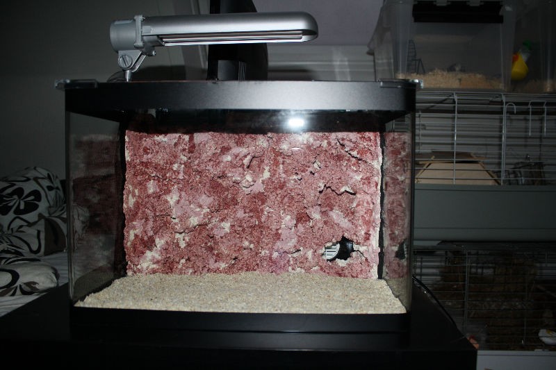 Billede 068.jpg