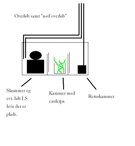 sump.JPG