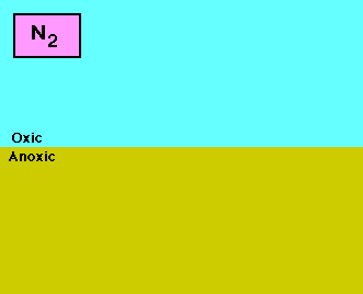 Ncycle.gif
