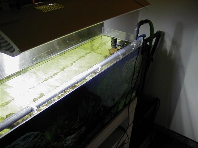 P1010079 (Small).JPG