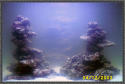 images.jpg