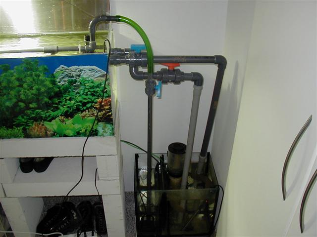 P1010078 (Small).JPG