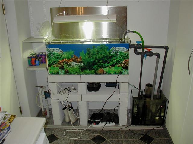 P1010077 (Small).JPG