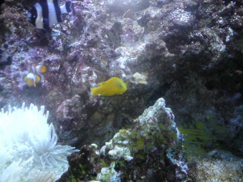 DSC00448 (Large).JPG