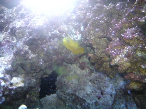 DSC00450 (Large).JPG