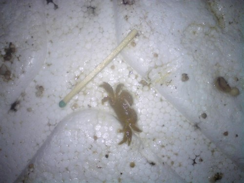 DSC00461 (Large).JPG