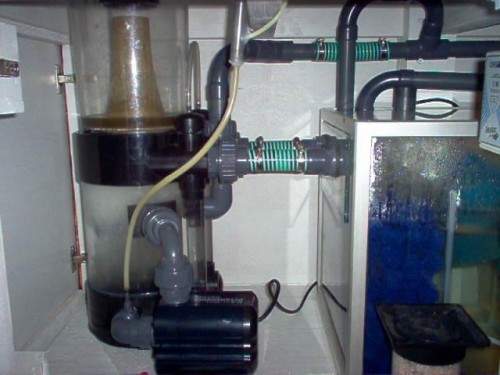 56.jpg
