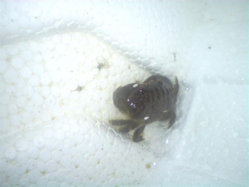 DSC00478 (Large).JPG