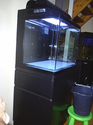 r1.JPG