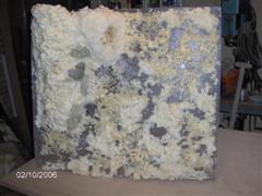 IM000396 (WinCE) (2).JPG